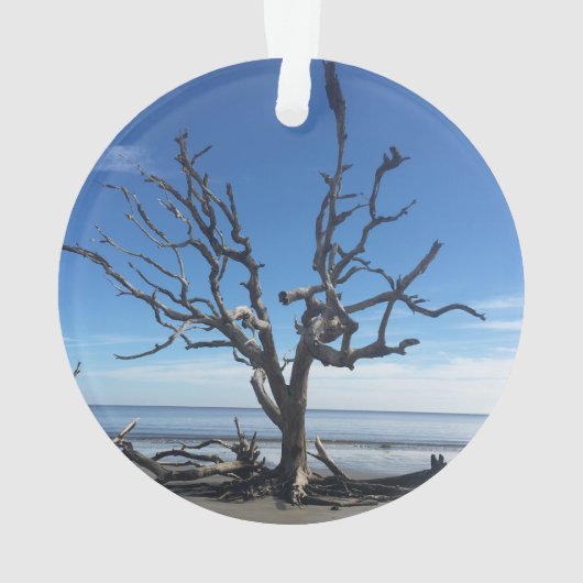 Jekyll Island Georgia Ornament (achterkant)