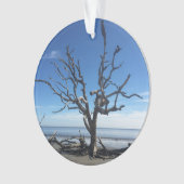 Jekyll Island Georgia Ornament (voorkant)