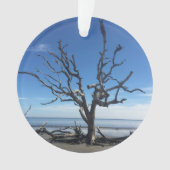 Jekyll Island Georgia Ornament (voorkant)