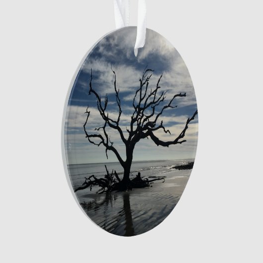 Jekyll Island Georgia Ornament (voorkant)