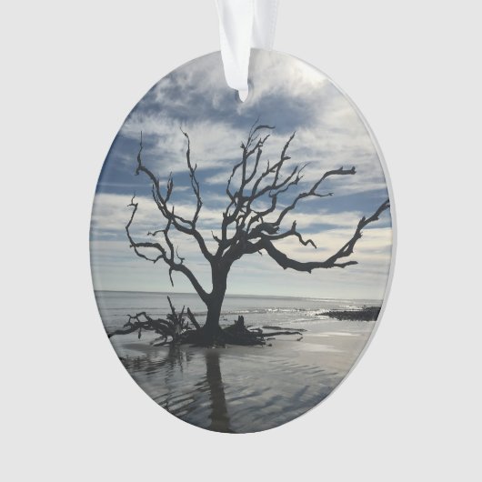 Jekyll Island Georgia Ornament (voorkant)