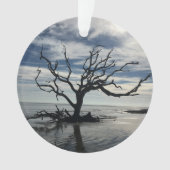 Jekyll Island Georgia Ornament (voorkant)