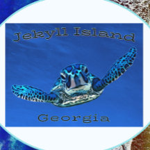 Jekyll Island Georgia Swimming Zee Turtle