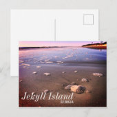 Jekyll Island Georgia Zand Dollar Beach Briefkaart (Voorkant / Achterkant)