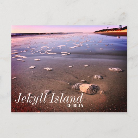 Jekyll Island Georgia Zand Dollar Beach Briefkaart (Voorkant)