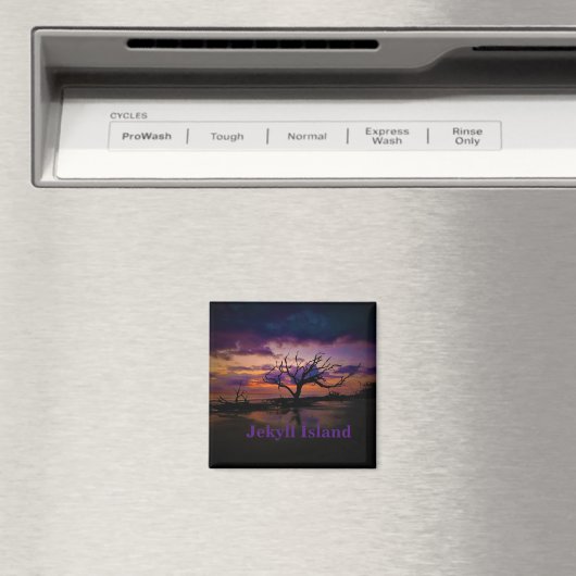 Jekyll Island magnet (Insitu (Vaatwasser))