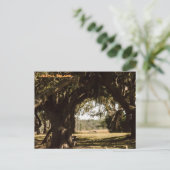 Jekyll Island Pathway naar het moeras Briefkaart (Staand voorkant)