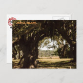 Jekyll Island Pathway naar het moeras Briefkaart (Voorkant / Achterkant)