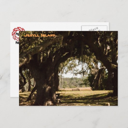 Jekyll Island Pathway naar het moeras Briefkaart (Voorkant / Achterkant)