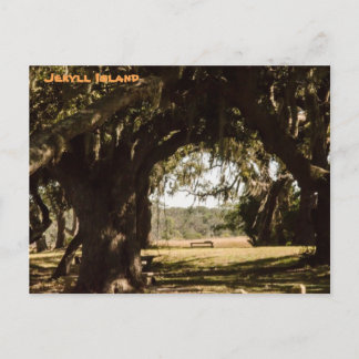 Jekyll Island Pathway naar het moeras Briefkaart