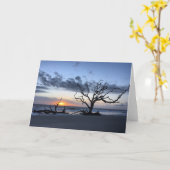 jekyll Island sunrise card #1 (blanco binnenin) Kaart (Gele Bloem)