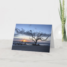 jekyll Island sunrise card #1 (blanco binnenin) Kaart