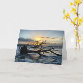 jekyll Island sunrise card #3 (blanco binnenin) Kaart (Gele Bloem)