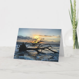 jekyll Island sunrise card #3 (blanco binnenin) Kaart