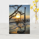 jekyll Island sunrise card #4 (blanco binnenin) Kaart (Gele Bloem)