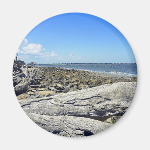 Jekyll-Uitzicht Magneet