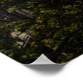 Jelenia Góra Architectuurprint - Rode Dak Torentje Poster (Hoek)