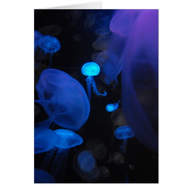 Jellies (Voorkant)