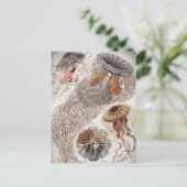 Jellies (kwal) in pastelkleuren briefkaart (Staand voorkant)