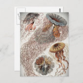 Jellies (kwal) in pastelkleuren briefkaart (Voorkant / Achterkant)