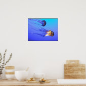 Jellies Poster (Keuken)