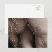 Jelling Embrace Briefkaart (Voorkant / Achterkant)