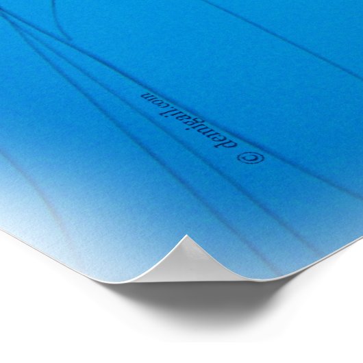 jelly_2646_Paint Poster (Hoek)