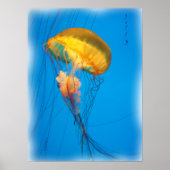 jelly_2646_Paint Poster (Voorkant)