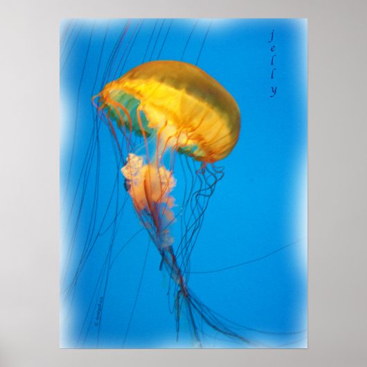 jelly_2646_Paint Poster (Voorkant)