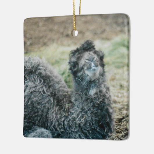 Jelly Baba Keramisch Ornament (Links)