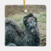 Jelly Baba Keramisch Ornament (Voorkant)