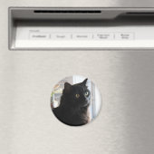 Jelly Bean, de zwarte drop kat, magneet (Insitu (Vaatwasser))