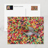 Jelly Bean Heaven Briefkaart (Voorkant / Achterkant)