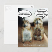 Jelly beans briefkaart (Voorkant / Achterkant)