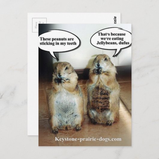 Jelly beans briefkaart (Voorkant / Achterkant)