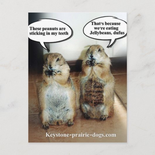 Jelly beans briefkaart (Voorkant)