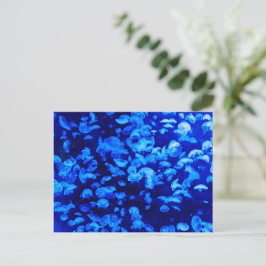 Jelly Blue Fish Briefkaart (Staand voorkant)