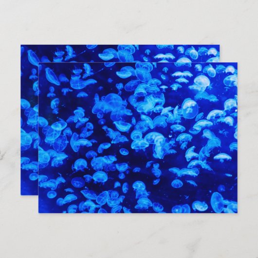 Jelly Blue Fish Briefkaart (Voorkant / Achterkant)