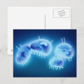 Jelly fish 2013 briefkaart (Voorkant / Achterkant)