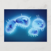 Jelly fish 2013 briefkaart (Voorkant)