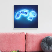 Jelly fish 2013 canvas afdruk (Insitu (Woonkamer))
