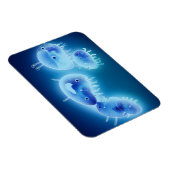 Jelly fish 2013 magneet (Rechterzijde)