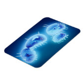 Jelly fish 2013 magneet (Linkerzijde)