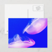 Jelly Fish Briefkaart (Voorkant / Achterkant)