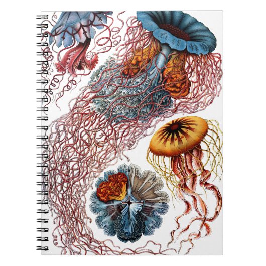 Jelly Fish door Ernst Haeckel Notitieboek (Voorkant)