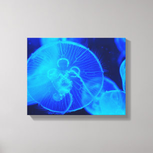 Jelly Fish, geplet Canvas Afdruk