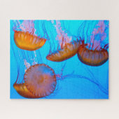 Jelly Fish Legpuzzel (Horizontaal)