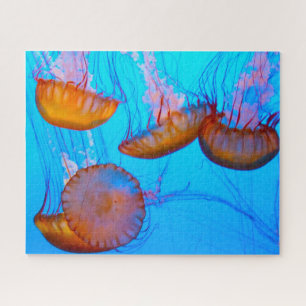 Jelly Fish Legpuzzel