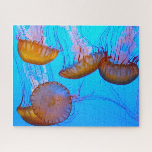 Jelly Fish Legpuzzel (Horizontaal)