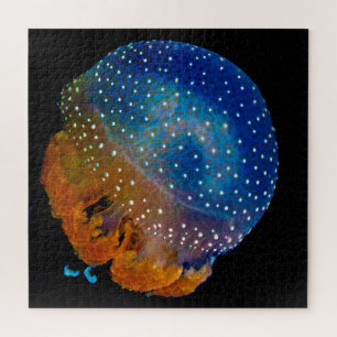 Jelly Fish Legpuzzel